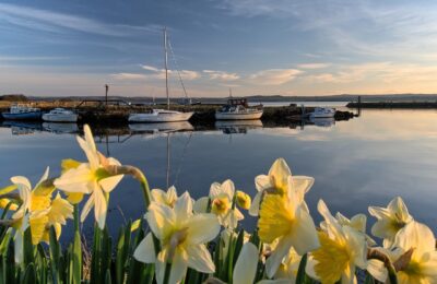 Le marché immobilier en Bretagne en 2025 : tour d’horizon des dynamiques et perspectives